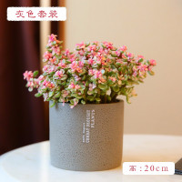 MuMuHome 雅乐之舞 多肉植物组合盆栽金枝玉叶绿植室内盆景花卉盆栽(灰色陶盆) 单位:盆