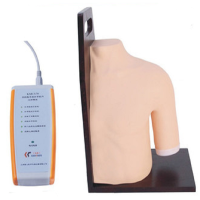 戎兴 教学模具 RX005 环保材质