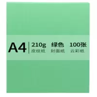 安兴 传美 A4 210g 皮纹纸 封面纸 云彩纸 封皮纸 彩色卡纸 标书装订封面纸 绿色 100张/包