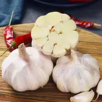 企采严选 新鲜大蒜 新鲜蔬菜 多瓣蒜 1斤装 单位:斤