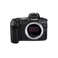佳能(Canon)EOS R 全画幅专业微单数码相机 24-105mm 镜头
