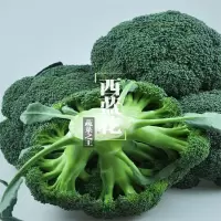 [江苏乡村振兴][财政集采][灌南]灌农 新鲜现摘西蓝花(10斤装)