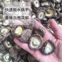 [江苏乡村振兴][财政集采][灌南]灌农 香菇礼盒装(500克装)