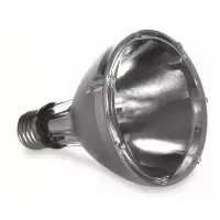 飞利浦 PHILIPS Philips 反射性陶瓷金卤灯 PAR30L/70W/暖色/E27/10D(97)