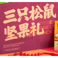 三只松鼠(threesquirrels) GB19300 坚果大礼包14袋装