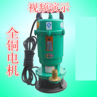潜水泵 1100W220V