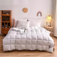 無印良品 MJ-B2020-17 妙品鹅丝被