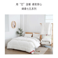 多喜爱美眠康绵柔水洗纯涤柔软舒适羽丝七孔纤维加厚被芯
