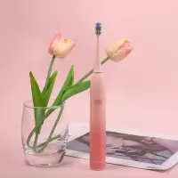 WSSYOO唯侑电动牙刷成人男女充电式自动软毛声波牙刷情侣L1