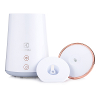 ELECTROLUX 伊莱克斯 家庭多用加湿器 加湿器 EGEH760