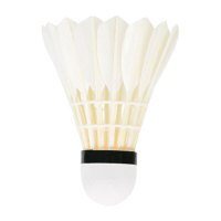 金益专用羽毛球