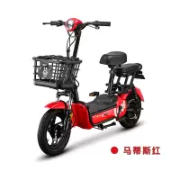 电动车/电动自行车/奔的魅力电动车/新国标电动车/两轮电动车/简易车