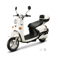 电动车/电动轻便摩托车/奔的魅力电动车/新国标电动车/两轮电动车