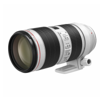 佳能(Canon)EF 70-200mm f/2.8L IS III USM 单反镜头 大三元 变焦