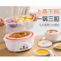 ZHMD天际一锅三胆定时家用全自动隔水炖盅 DDZ-W116D