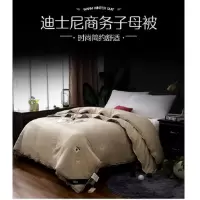 迪士尼(DISNEY) 商务四季子母被