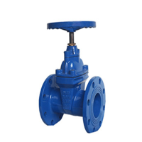 闸阀 铸钢DN150 HT200