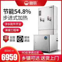 碧丽开水器商用开水机RO反渗透直饮水机大容量开水炉全自动不锈钢开水桶大容量办公室工厂医院工地热水炉