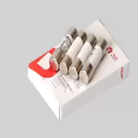 德力西2A保险管10只装