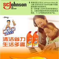 威猛先生洁厕啫哩 柠檬草香 750g