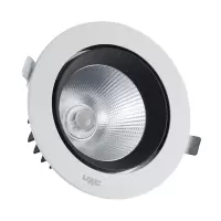 LED天花灯射灯COB光源 1103D 20W 开孔120mm 暖白