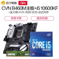 七彩虹CVN B460M GAMING PRO V20主板+i5 10600KF+KVR DDR4 2666套装