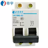 帝宇 YKYM6-63 2P 40A 微型断路器(单位:只)