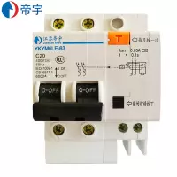 帝宇 YKYM6LE-63 2P 25A 微型漏电断路器(单位:只)