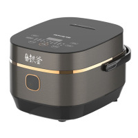 九阳IH铁釜电饭煲F-40T25