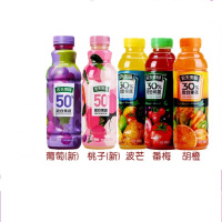 农夫果园30%菠芒混合果汁500ml (15瓶)