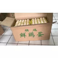 [江苏乡村振兴][财政集采][泗洪]西南岗 草鸡蛋 360枚/箱