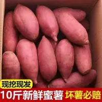[江苏乡村振兴][财政集采][灌南]灌农现挖红薯10斤装
