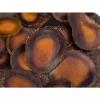 寿星牌饮片 鹿茸血片 一等3克
