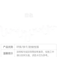 STK磁漆 调和漆 防锈漆 金属漆工业漆 彩钢瓦漆铁铝钢结构管道栏杆铁门漆 防锈防腐防水漆 白色磁漆 0.8kg