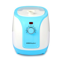 荣事达(Royalstar) 挂烫机 RS-GT67