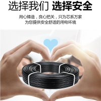 国标防老化两芯25平方100米