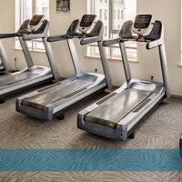 全给 必确 PRECOR 821 动感单车 途行链条型