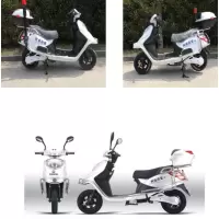 亚马网格定制电瓶车