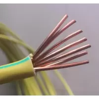 ZzwxDL 1*25铜线 BV25 100米/卷