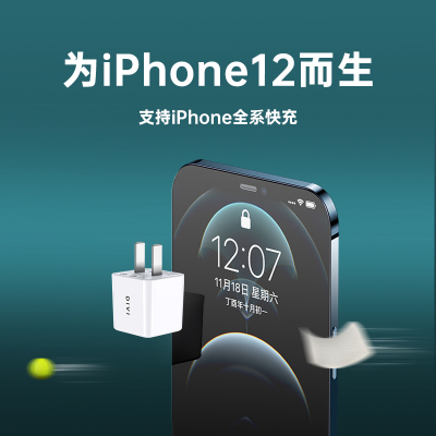 第一卫(DIVI)苹果PD快充充电器20W(白色)适用iPhone12/mini/Max/11/X充电头快充头手机快冲电