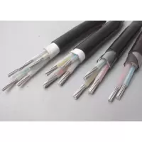 LONGXUE YJLV22 3*10 铝线 三相缆户外电缆线 100米