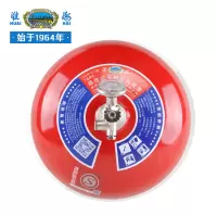 淮海 挂式干粉灭火装置悬挂式家庭商用公司机房厨房自动灭火宝 FZX-APT4/1.2 4KG