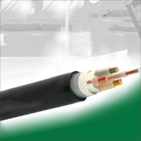 NH-YJV线缆5*25（单位：米）