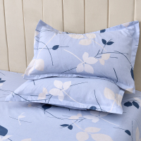 路易卡罗(Louiskellog) LK-3102 尚佳枕套 1对装 枕套 一对价格