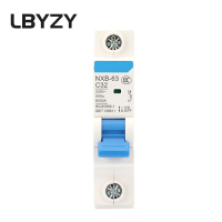 LBYZY NXB微型断路器 小型过载空气开关 NXB-63-1P 20A 5个起订