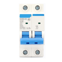 LBYZY NXB微型断路器 小型过载空气开关 NXB-63-2P 6A 5个起订