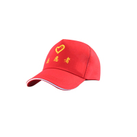 伊兰(YILAN) 团队帽子志愿者义工帽子8864