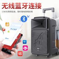 音响爱浪(Avlight)DT-12 低音炮带话筒充电式 户外音响