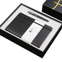 毕加索(Pimio)/T61 笔记本套装