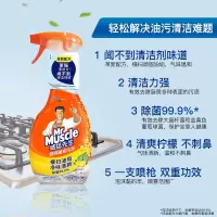 威猛先生厨房重油洁净 500g